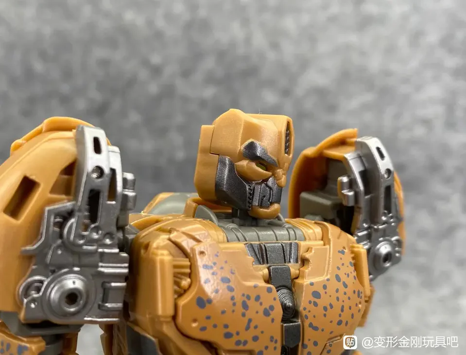 Thumbnail 9