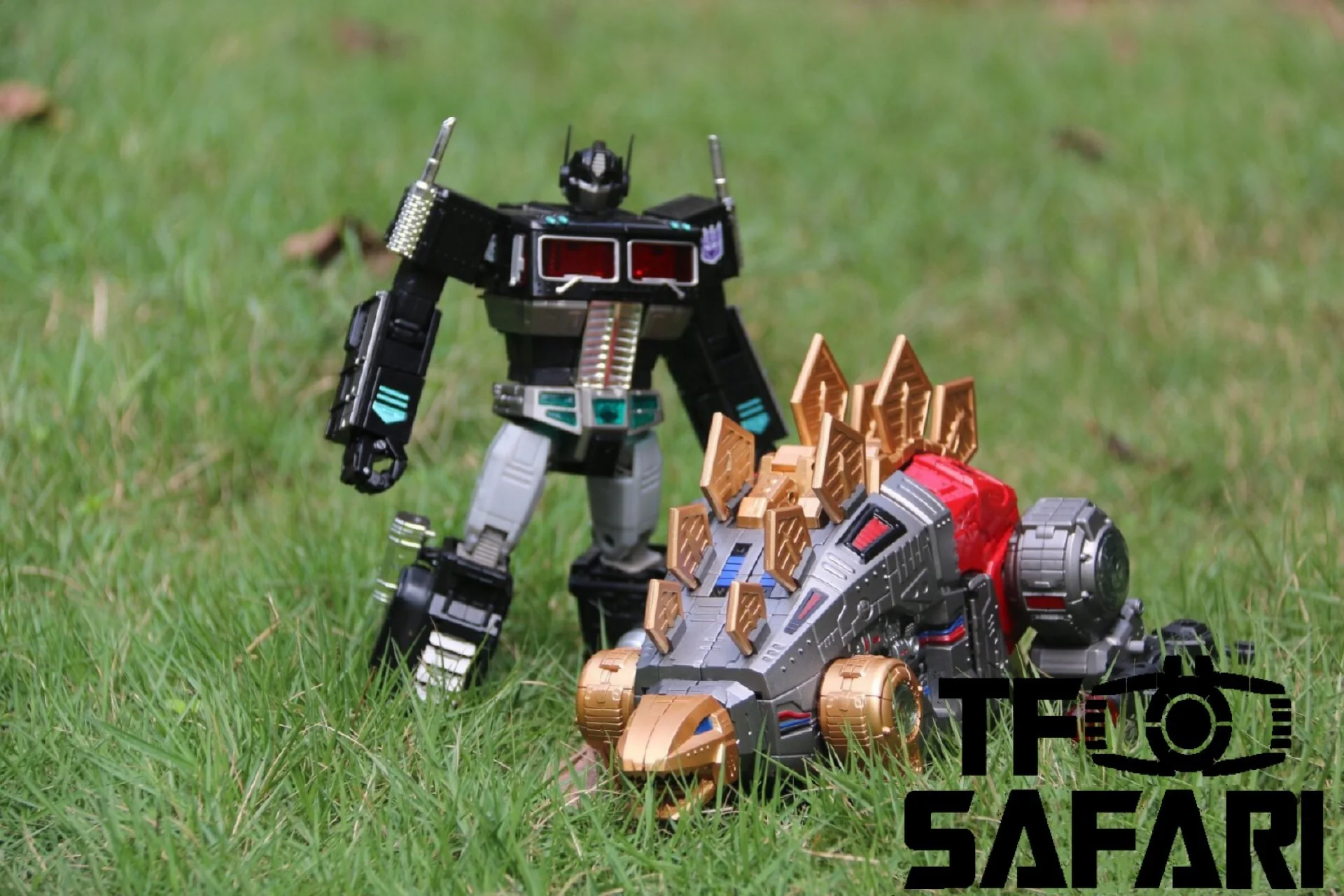 Thumbnail 11