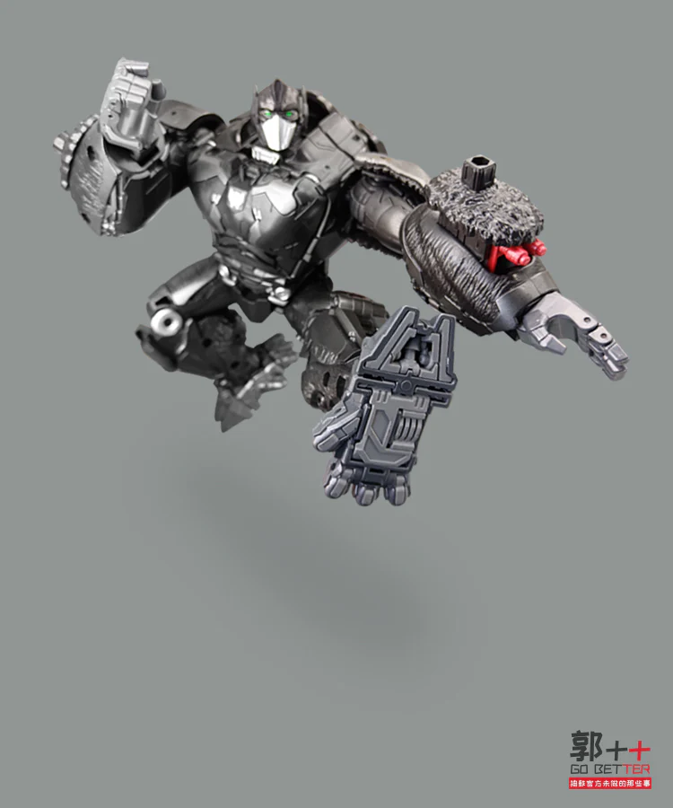 Thumbnail 11