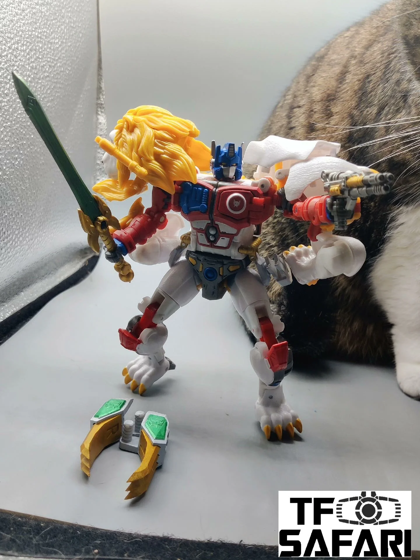 Thumbnail 8