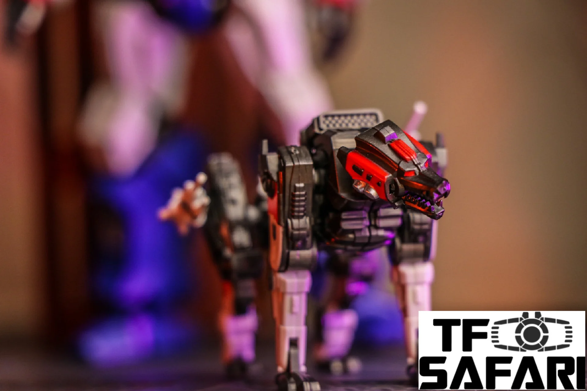 Thumbnail 21